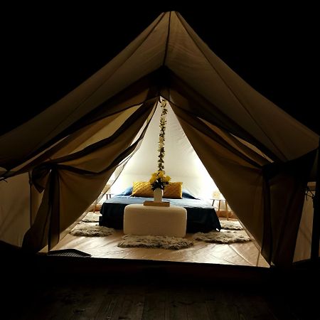 Green Garden Glamping Retezat Balánbánya Kültér fotó