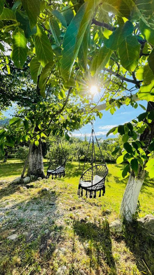 Green Garden Glamping Retezat Balánbánya Kültér fotó