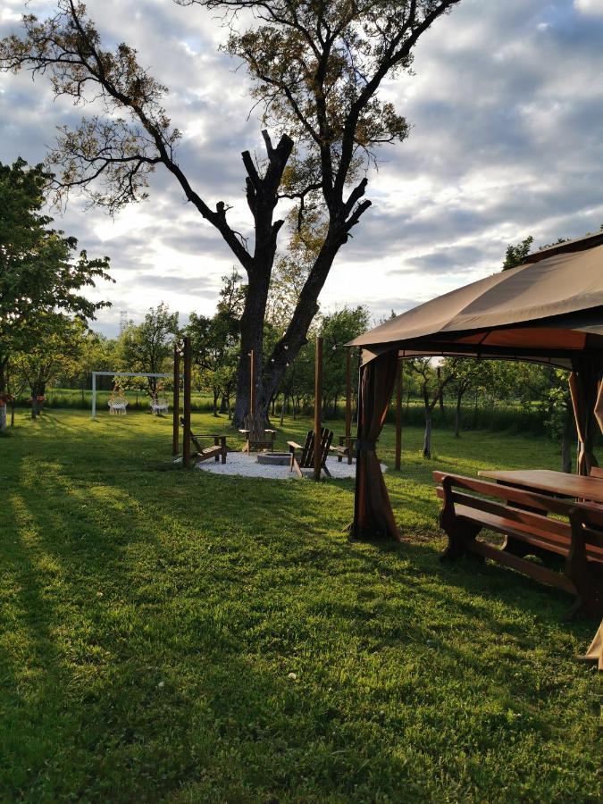 Green Garden Glamping Retezat Balánbánya Kültér fotó