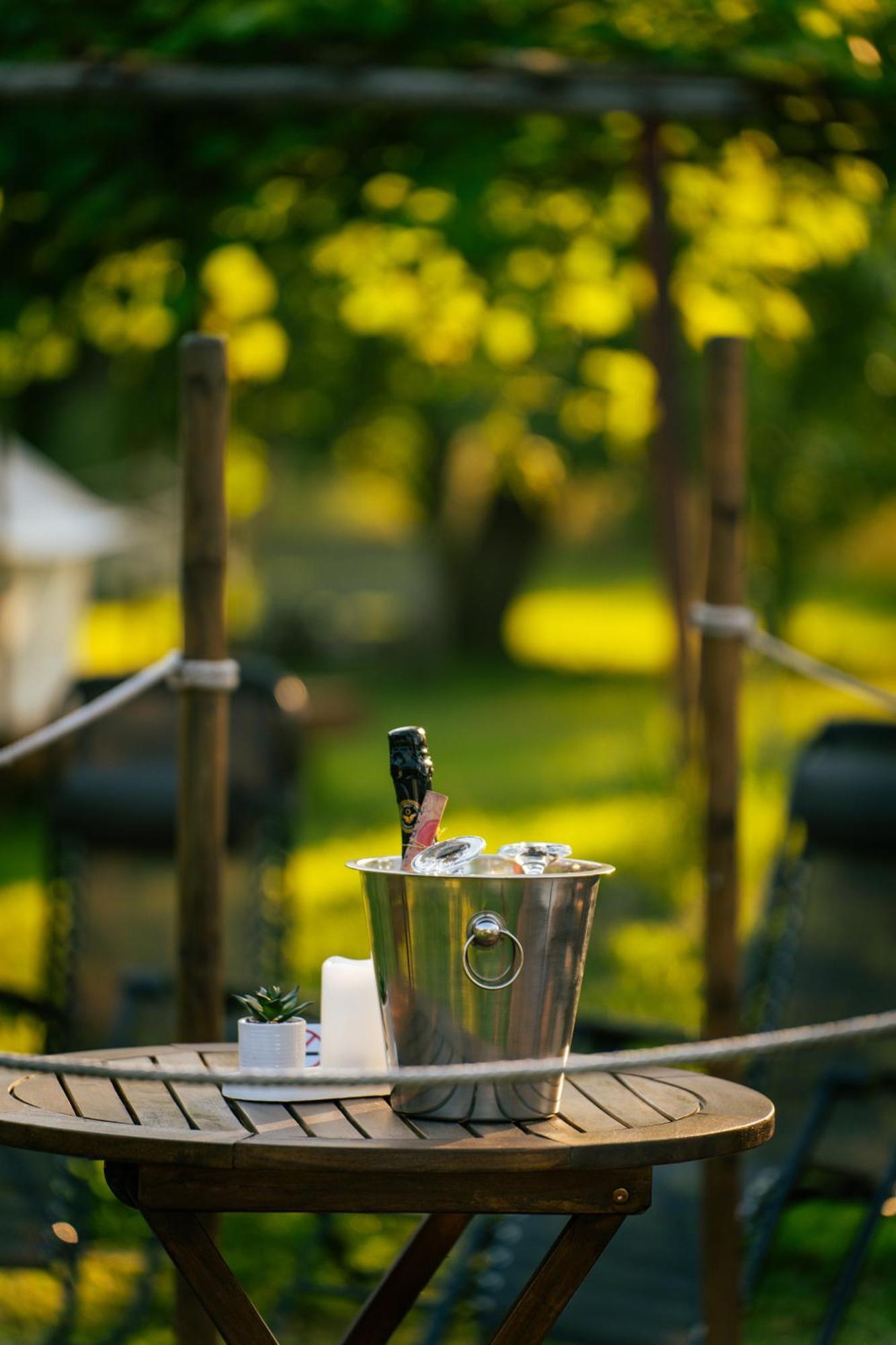 Green Garden Glamping Retezat Balánbánya Kültér fotó