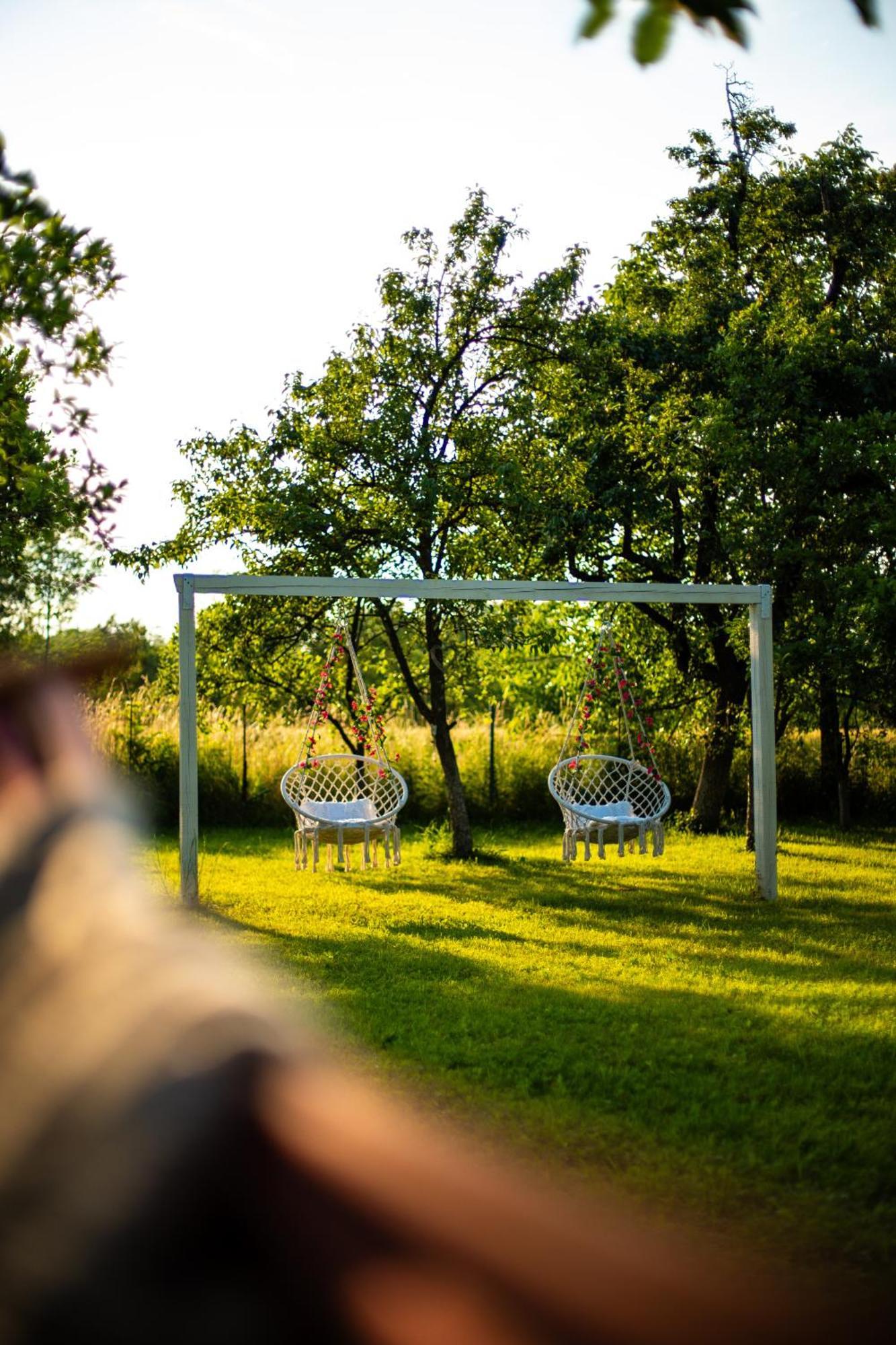 Green Garden Glamping Retezat Balánbánya Kültér fotó